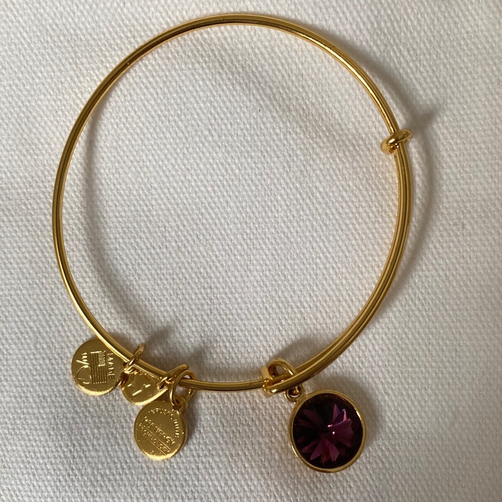 Alex + Ani amethyst charm bangle, Color: gold finish